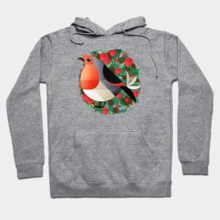 Robin Hoodie